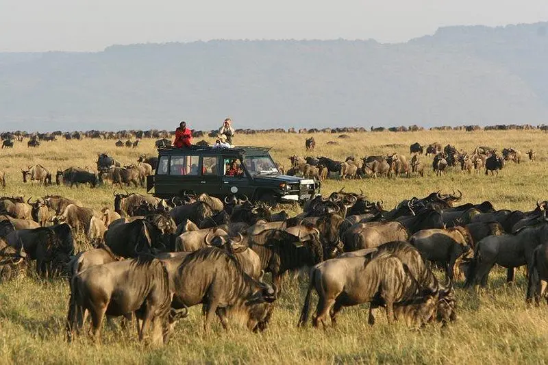 Tanzania Signature Experience