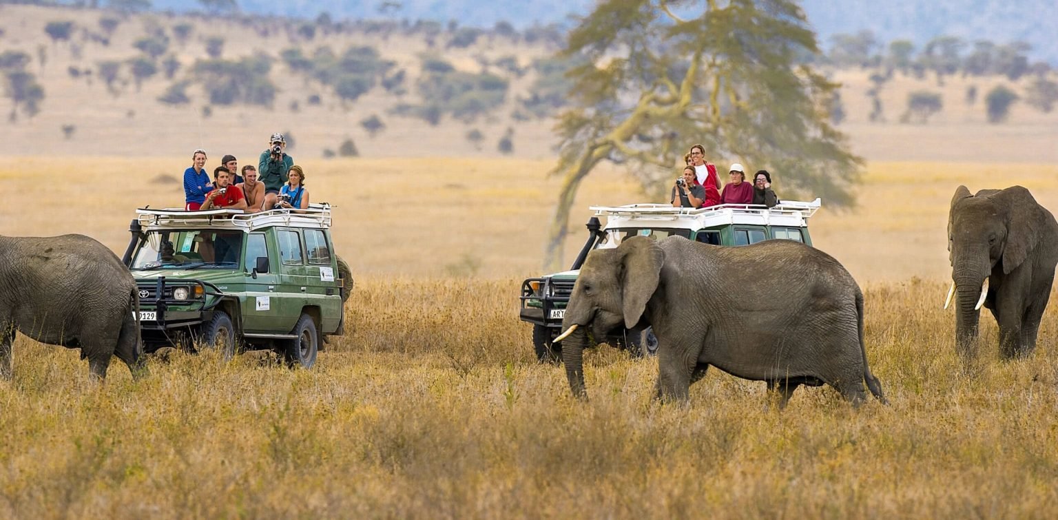 queen safaris