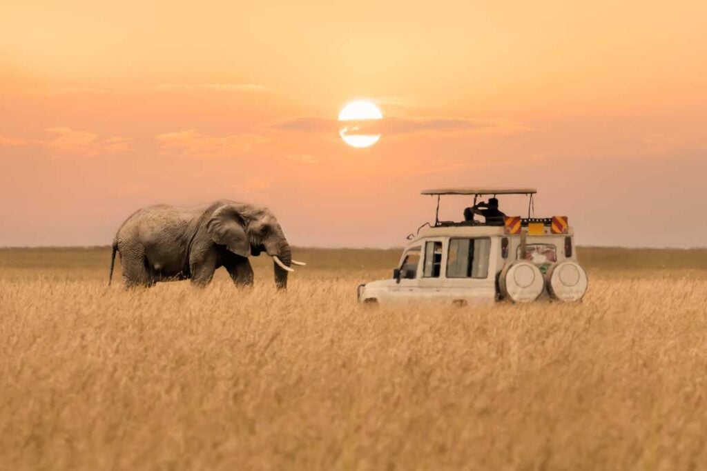 14-Day Uganda Luxury Safari