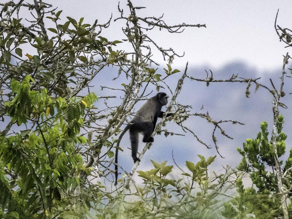 Best Time to Visit Tanzania