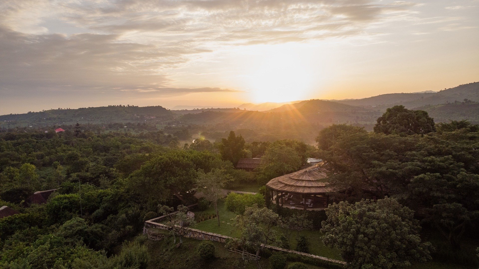 7-Day Uganda Gorillas, Chimps & Shoebill Stork Safari experience