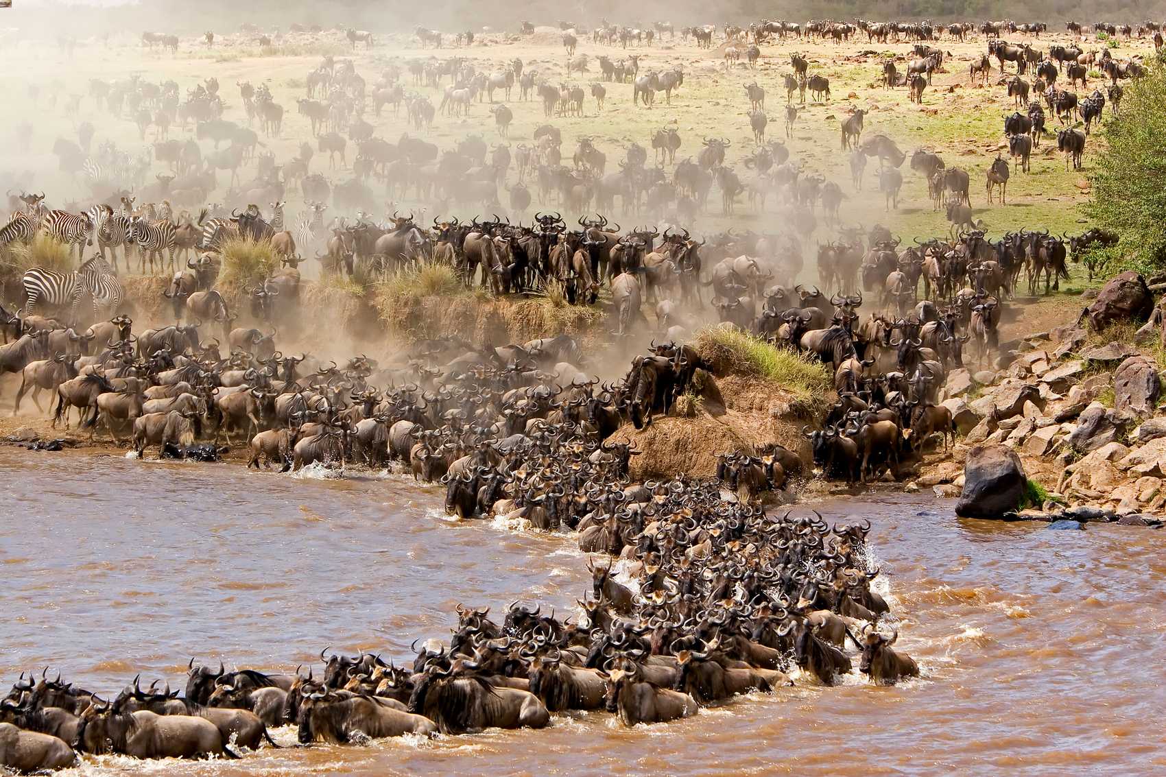 Kenya Safari Experience