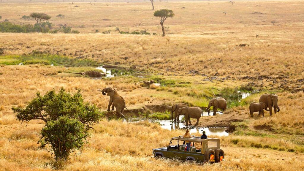 Tarangire & Serengeti