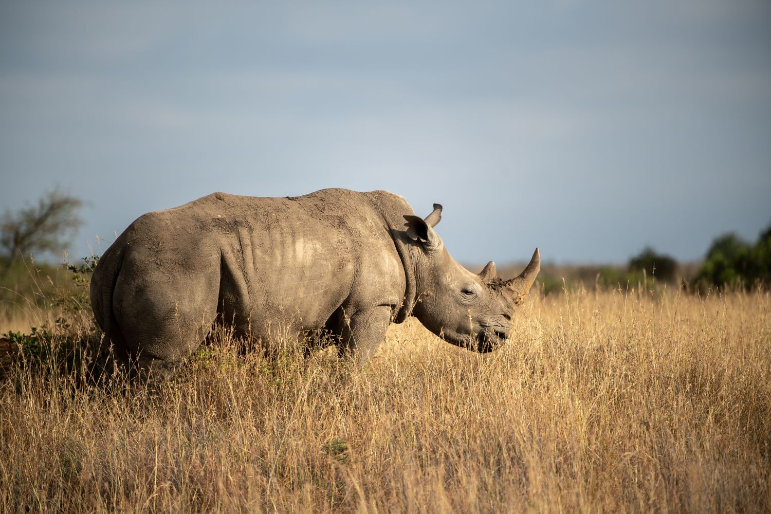 Africa safari itineraries