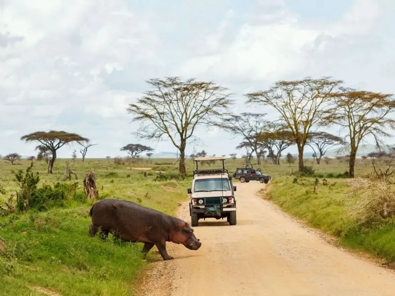 Health & safety policy