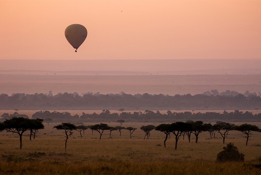 Investment safaris
