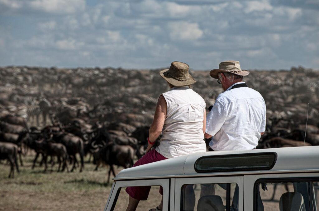 Travelers observing the wildebeest migration in Serengeti during a professionally managed luxury Tanzania safari