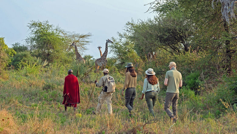 Travel advisors participating in a curated Tanzania safari familiarization experience