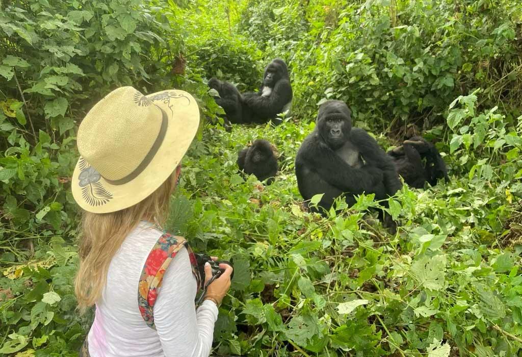 Uganda Luxury Safari