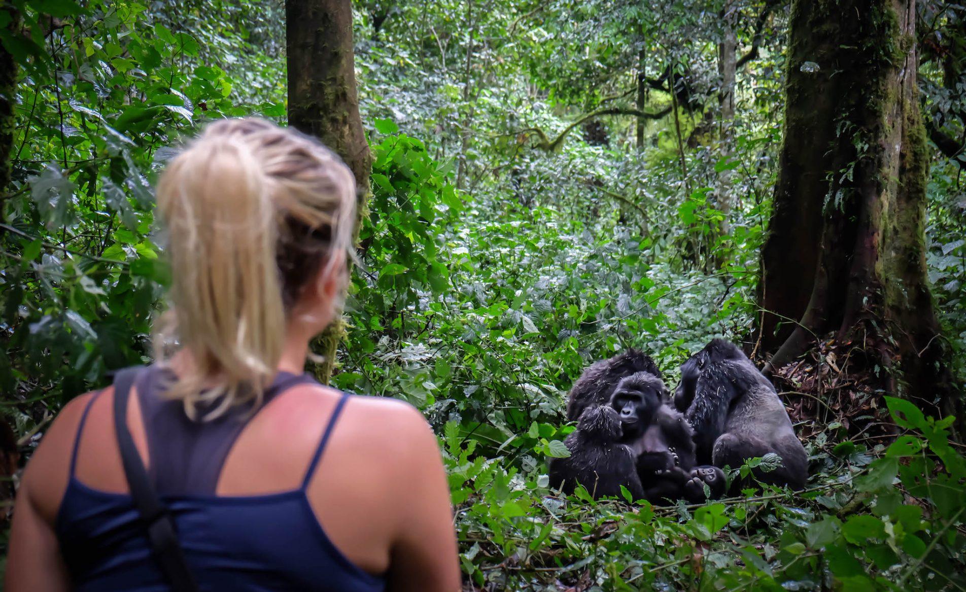 bwindi-gorilla-encounter.5