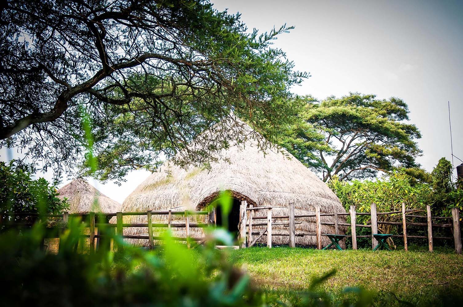 culture experiences nshenyi village safaris