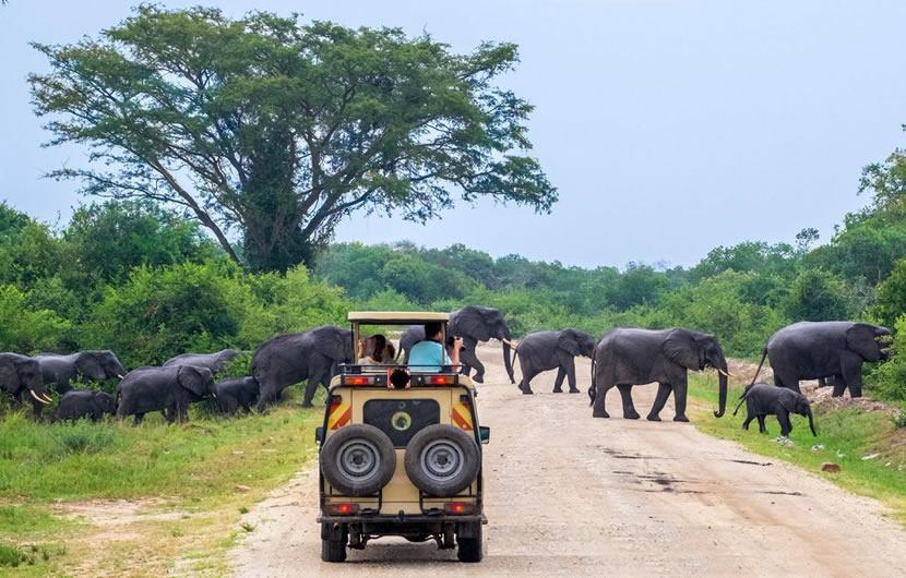 uganda-safari-small-group