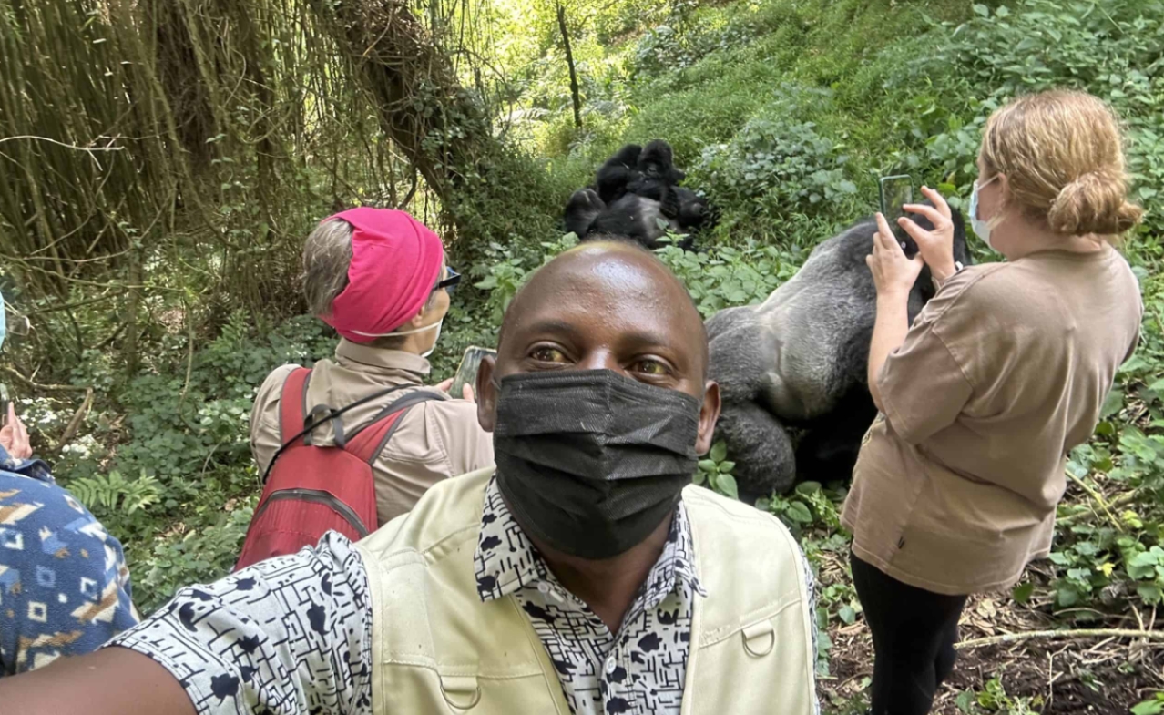Luxury Gorilla Trekking Tours in Africa
