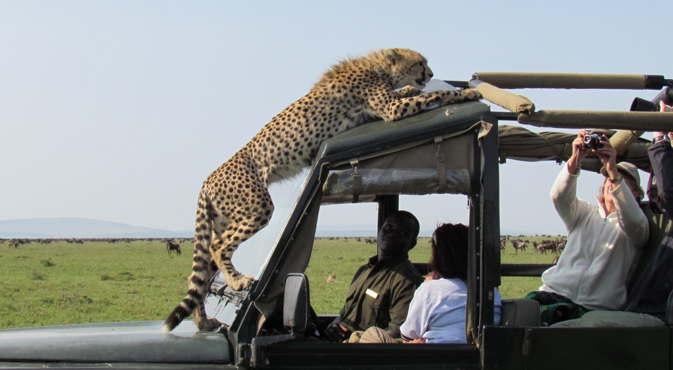 Best Kenya and Tanzania Safari itinerary 