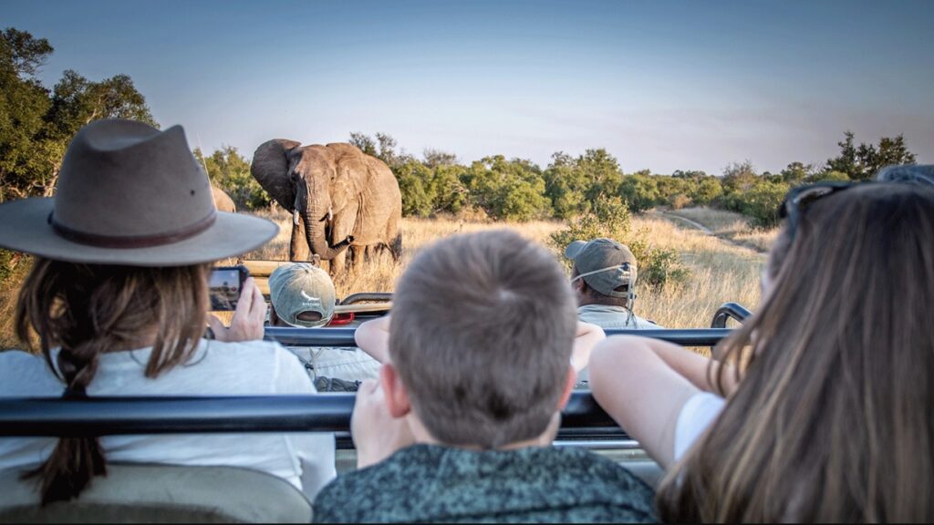 Luxury Africa Family Trips