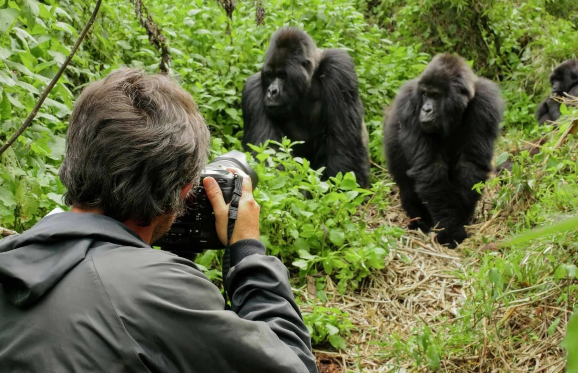 Uganda Luxury Safari Trips