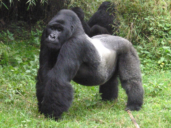 Rwanda