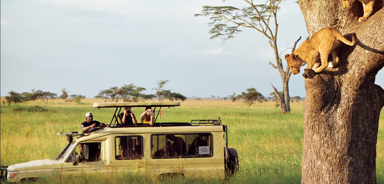 Tailor-Made Tanzania Safari