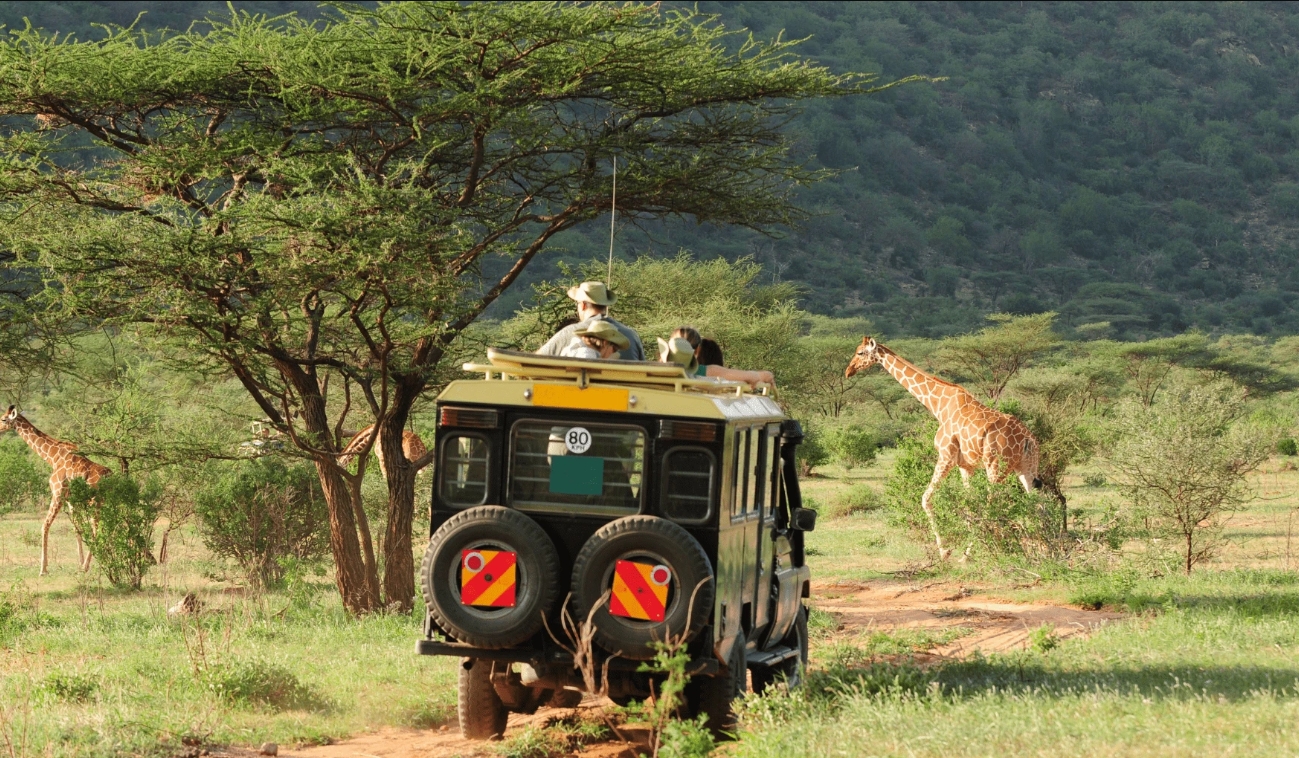 Tailor-Made African Safaris