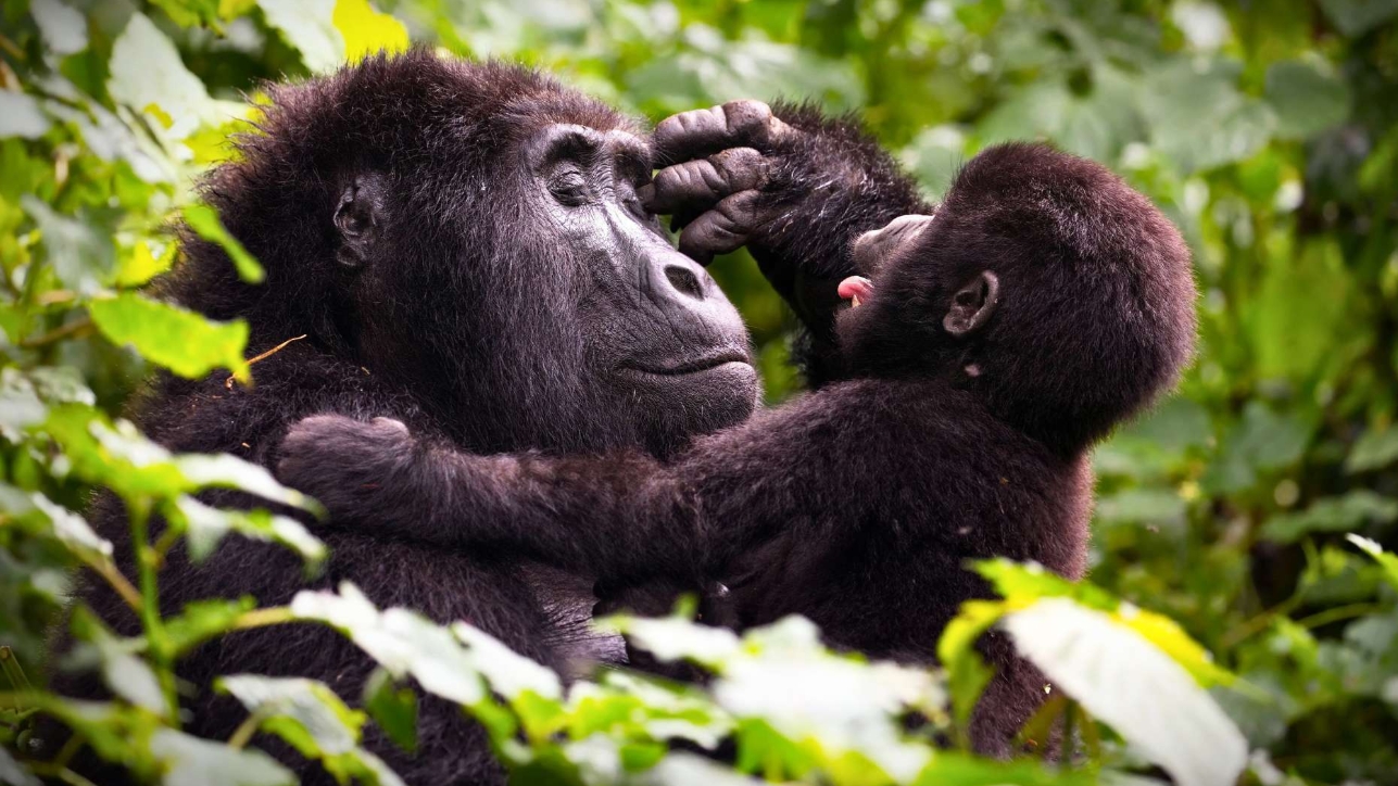 East Africa Travel Destinations