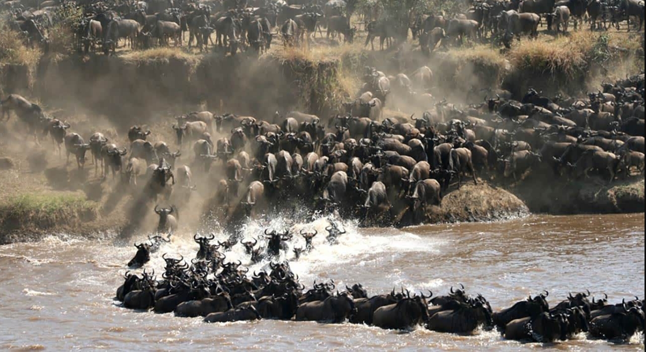 High End East Africa Honeymoon
