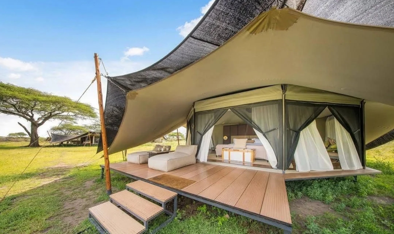 Luxury Wildlife Safari