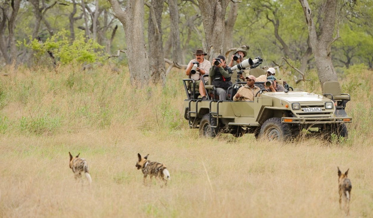 Private Tanzania Photo Safari