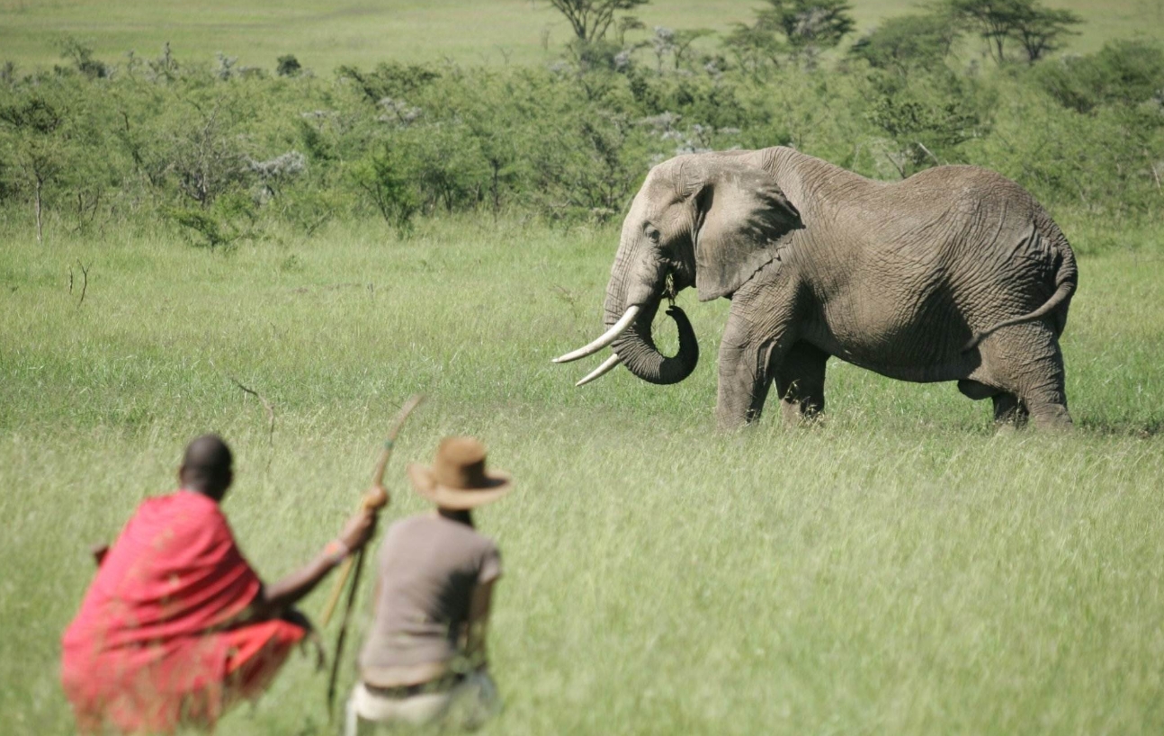 Luxury Tanzania Walking Safari