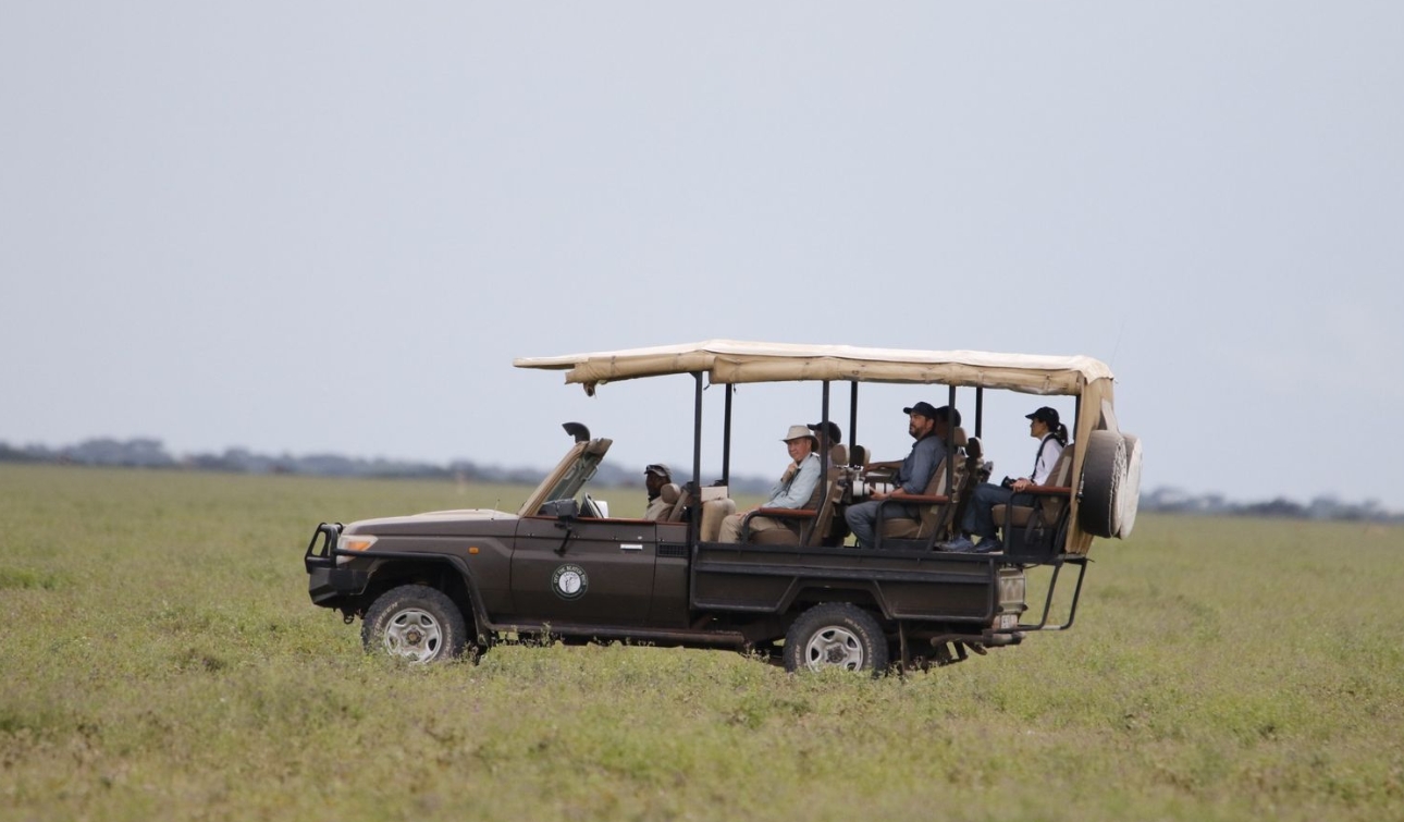 Why Choose a Tailor-Made Tanzania Safari