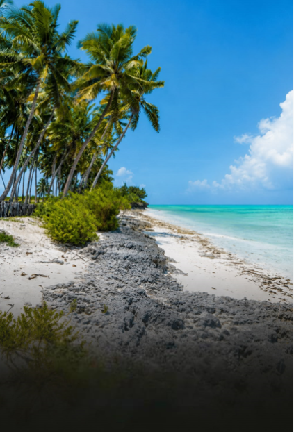 Zanzibar