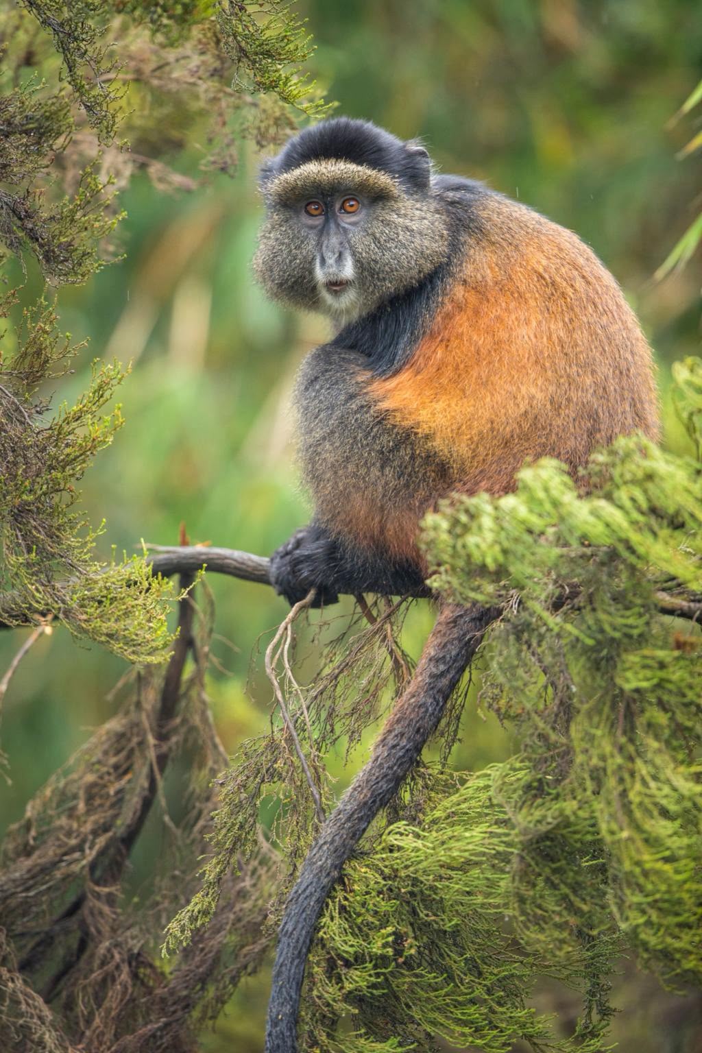 Rwanda