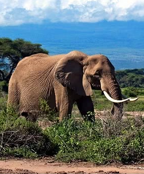 Tanzania