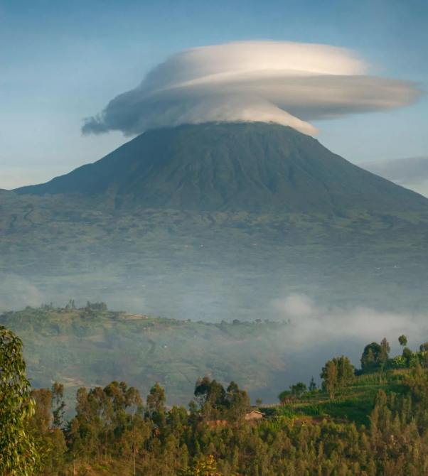 Rwanda Luxury Gorilla Trekking