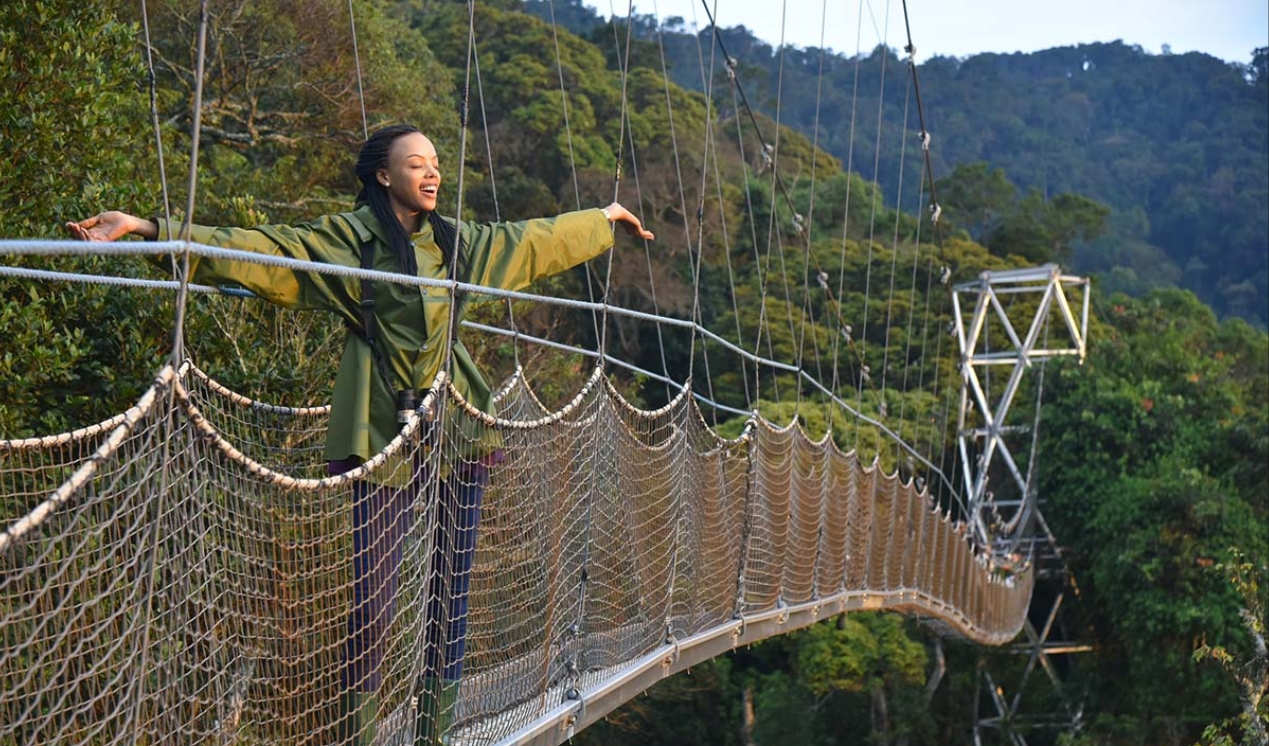 Nyungwe National Park