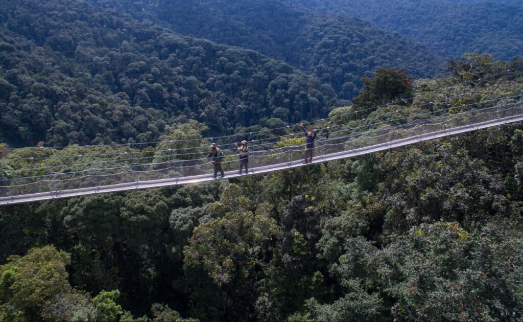 Rwanda’s Nyungwe Forest National Park