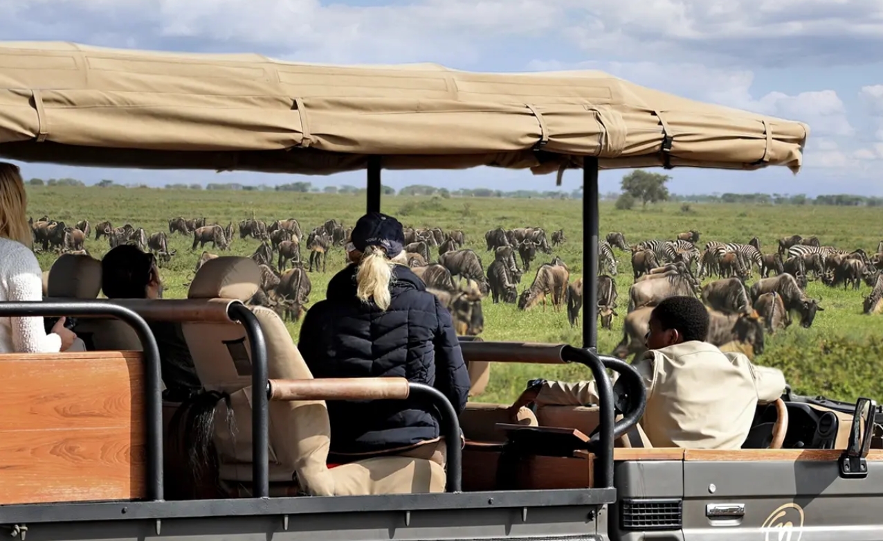 Luxury Family Safari in Africa