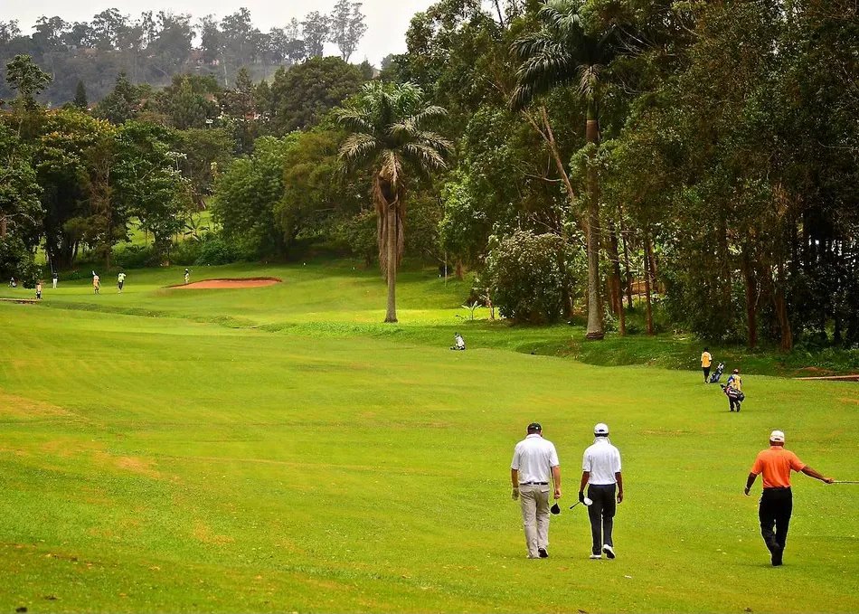 A golf green at first light with open African landscape beyond