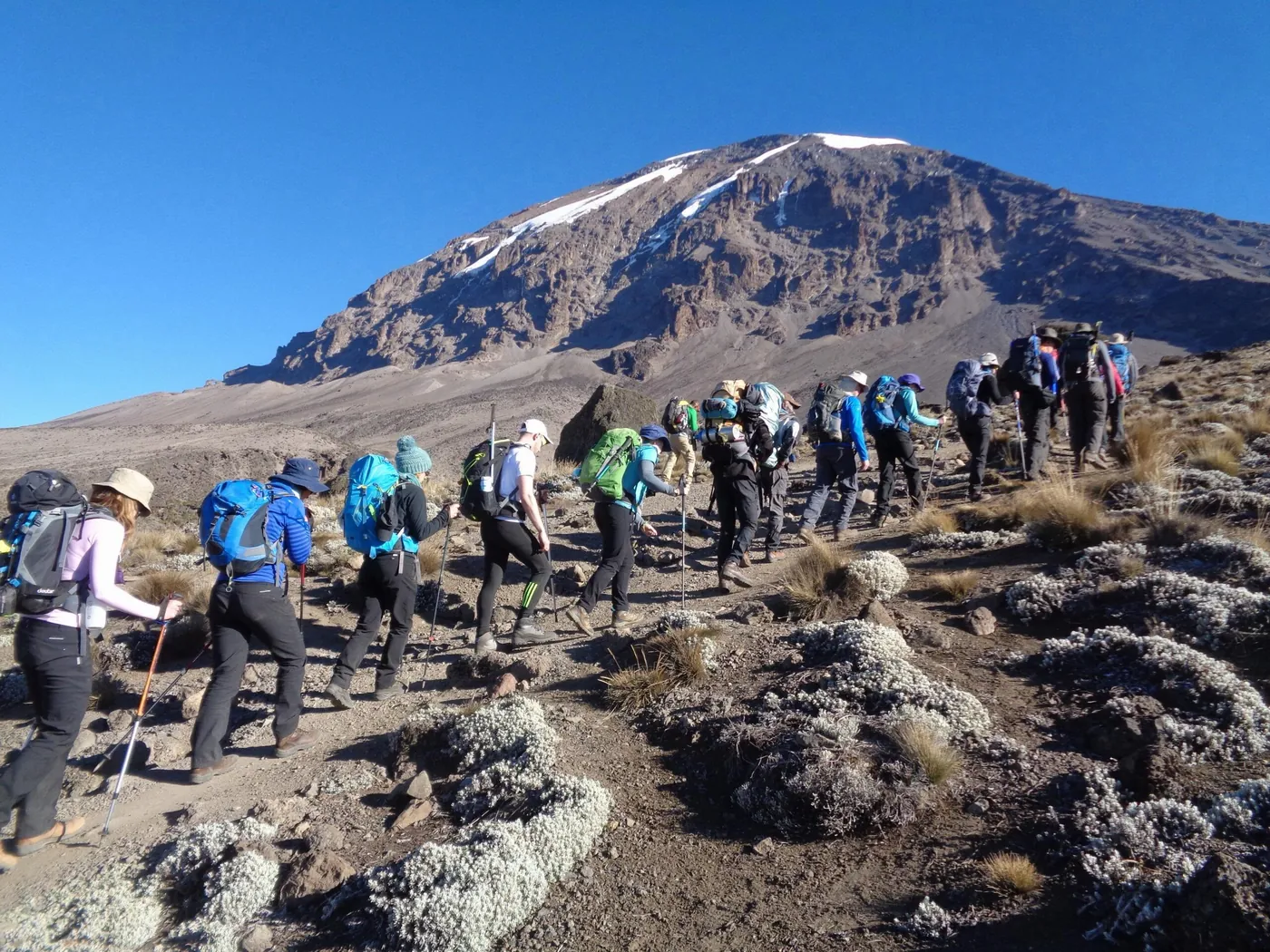 Trekkers ascending a stony ridge below Kilimanjaro's snow-streaked summit